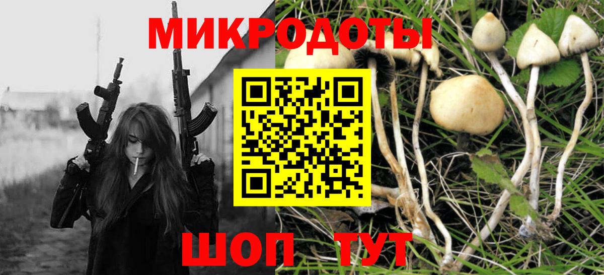 Галлюциногенные грибы GOLDEN TEACHER  Вход с VPN  Псилоцибиновые грибы прущие грибы  Гагарин 